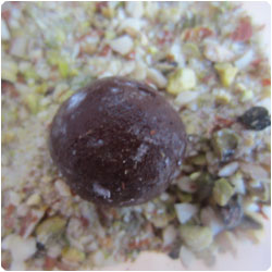 banana chocolate truffle - International cooking blog