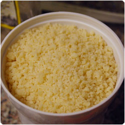 Parmesan Cheese Crackers - International Cooking Blog
