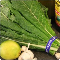 Kale Salad - International Cooking Blog