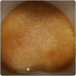 Bamboo Shoot Rice - International Cooking Blog