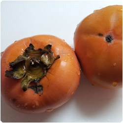 Daikon Radish and Persimmon Salad - International Cooking Blog