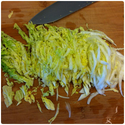 Pork dumpling - The International Cooking Blog