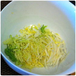 Pork dumpling - The International Cooking Blog