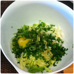 Pork dumpling - The International Cooking Blog