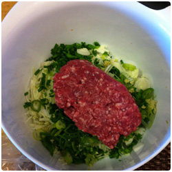 Pork dumpling - The International Cooking Blog