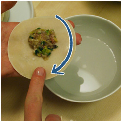 Pork dumpling - The International Cooking Blog
