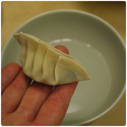 Pork dumpling - The International Cooking Blog