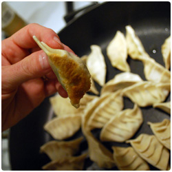 Pork dumpling - The International Cooking Blog