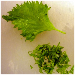 Japanese Lotus Root with Meat - The International Cooking Blog