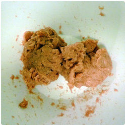 Japanese Lotus Root with Meat - The International Cooking Blog