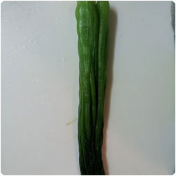 Sesame Oil Pickles - International Cooking Blog