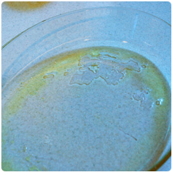 Apple cake - International Cooking Blog