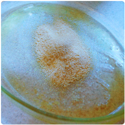 Apple cake - International Cooking Blog