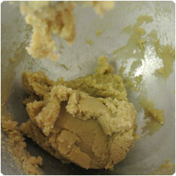 Hazelnut and Chocolate Biscuits - international cooking blog