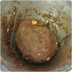 Hazelnut and Chocolate Biscuits - international cooking blog