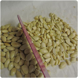 Cantucci alle mandorle - Almond Biscotti