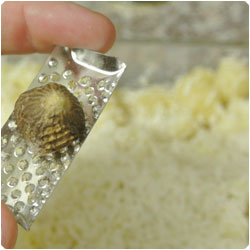 Cauliflower pasta - International Cooking Blog