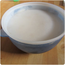 Bombe glacée - Chilled Chocolate Dome