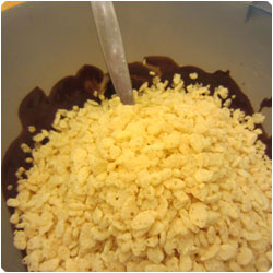 Bombe glacée - Chilled Chocolate Dome