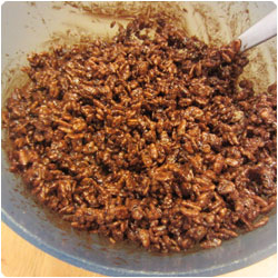 Bombe glacée - Chilled Chocolate Dome