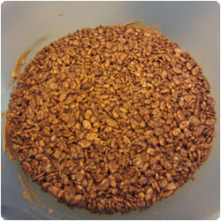 Bombe glacée - Chilled Chocolate Dome