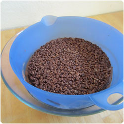 Bombe glacée - Chilled Chocolate Dome