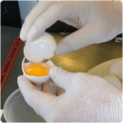 Chocolate pot de creme - International Cooking Blog