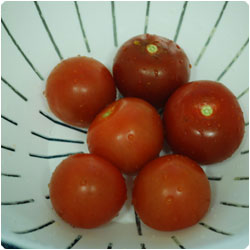 cold pasta - International Cooking Blog