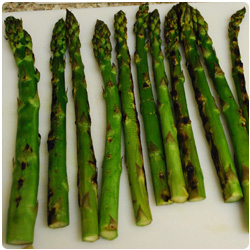 Cold Pasta with Grilled Veggies - International Cooking Blog