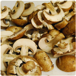 Cold Pasta with Grilled Veggies - International Cooking Blog