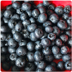 Fruit Pie Chocolate Pastry Cream - International Cooking blog