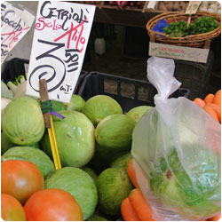 Simple Cucumber Salad - Cooking with Enrica Rocca