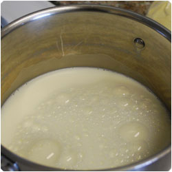 Gnocchi alla romana - international cooking blog