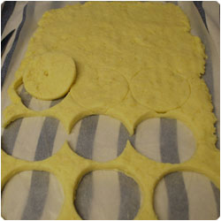 Gnocchi alla romana - international cooking blog