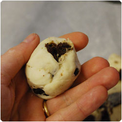 Mini Sweet Milk Breads - International Cooking Blog