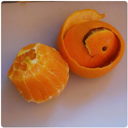 Orange and Fennel Salad - The International Cooking Blog
