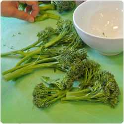 Orecchiette with Broccoli Sauce -International Cooking Blog