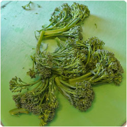 Orecchiette with Broccoli Sauce -International Cooking Blog