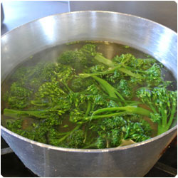 Orecchiette with Broccoli Sauce -International Cooking Blog