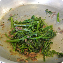 Orecchiette with Broccoli Sauce -International Cooking Blog