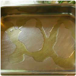 Oven white fish filet - International Cooking Blog