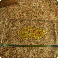 Orange sauce scaloppini - internatiolnal cooking blog