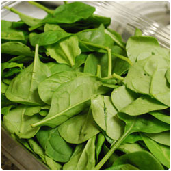 Spinach and Gorgonzola Quiche - international cooking blog