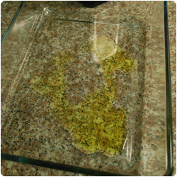 Tuna filled zucchini - International Cooking Blog