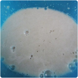 Challah Bread - International Cooking Blog