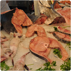 Swordfish Pasta - Cooking with Enrica Rocca