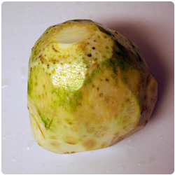 Waldorf Salad - the International Cooking Blog